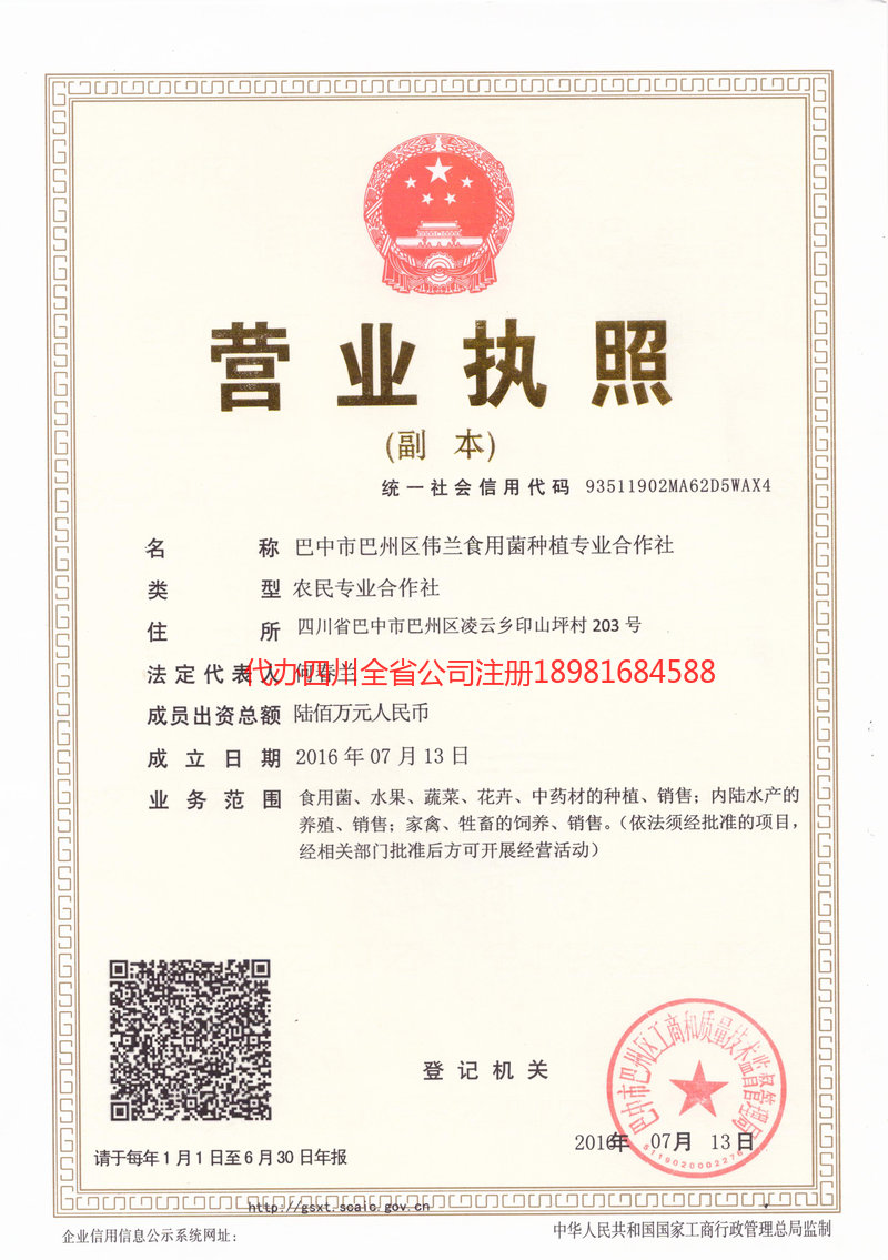 东阳东阳伟兰食用菌种植专业合作社